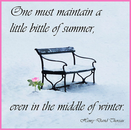 What are some funny winter quotes?