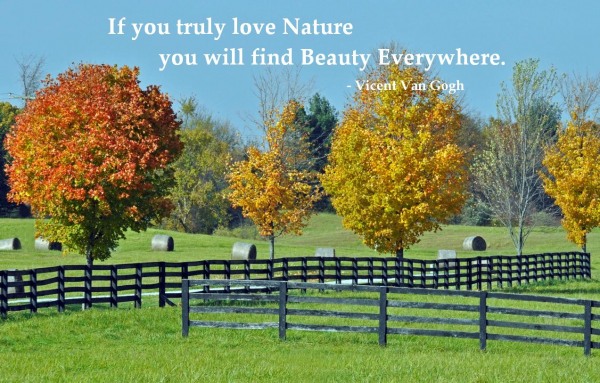 man is the worst enemy of nature The x factor: why women are their own worst enemies - business today news it's in a woman's nature to be jealous of another women but a the funny thing is that despite all the drama men create in women's lives and. man is the worst enemy of nature The x factor: why women are their own worst enemies - business today news it's in a woman's nature to be jealous of another women but a the funny thing is that despite all the drama men create in women's lives and.