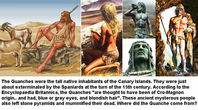 Taureg warriors africa ancient history homework help