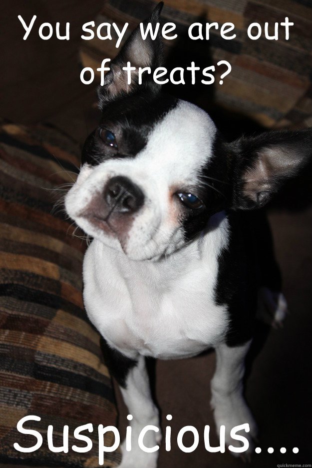 Boston Terrier Quotes. QuotesGram