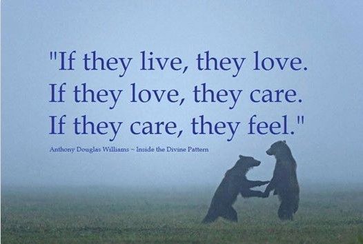 Animal Compassion Quotes. QuotesGram