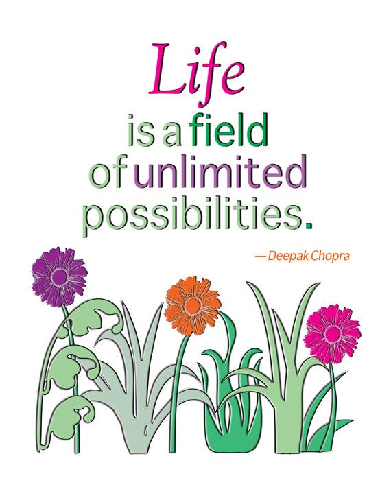 possibilities of life essay possibilities of life essay
