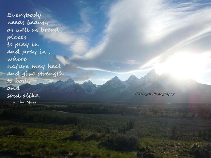 John Muir Mountain Quotes. QuotesGram