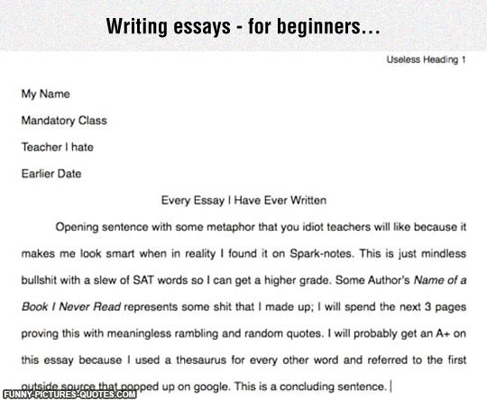 Essay writing my teacher