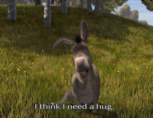 Funny Donkey From Shrek Quotes QuotesGram Funny Donkey From Shrek Quotes QuotesGram