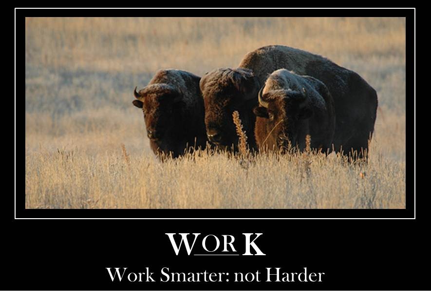 Corny Work Motivational Quotes. QuotesGram