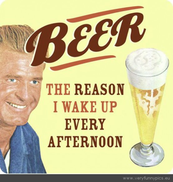 Funny Quotes About Beer. QuotesGram