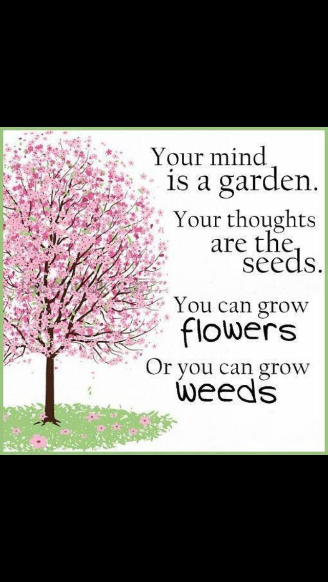 Always Stay Positive Quotes. QuotesGram Always Stay Positive Quotes. QuotesGram
