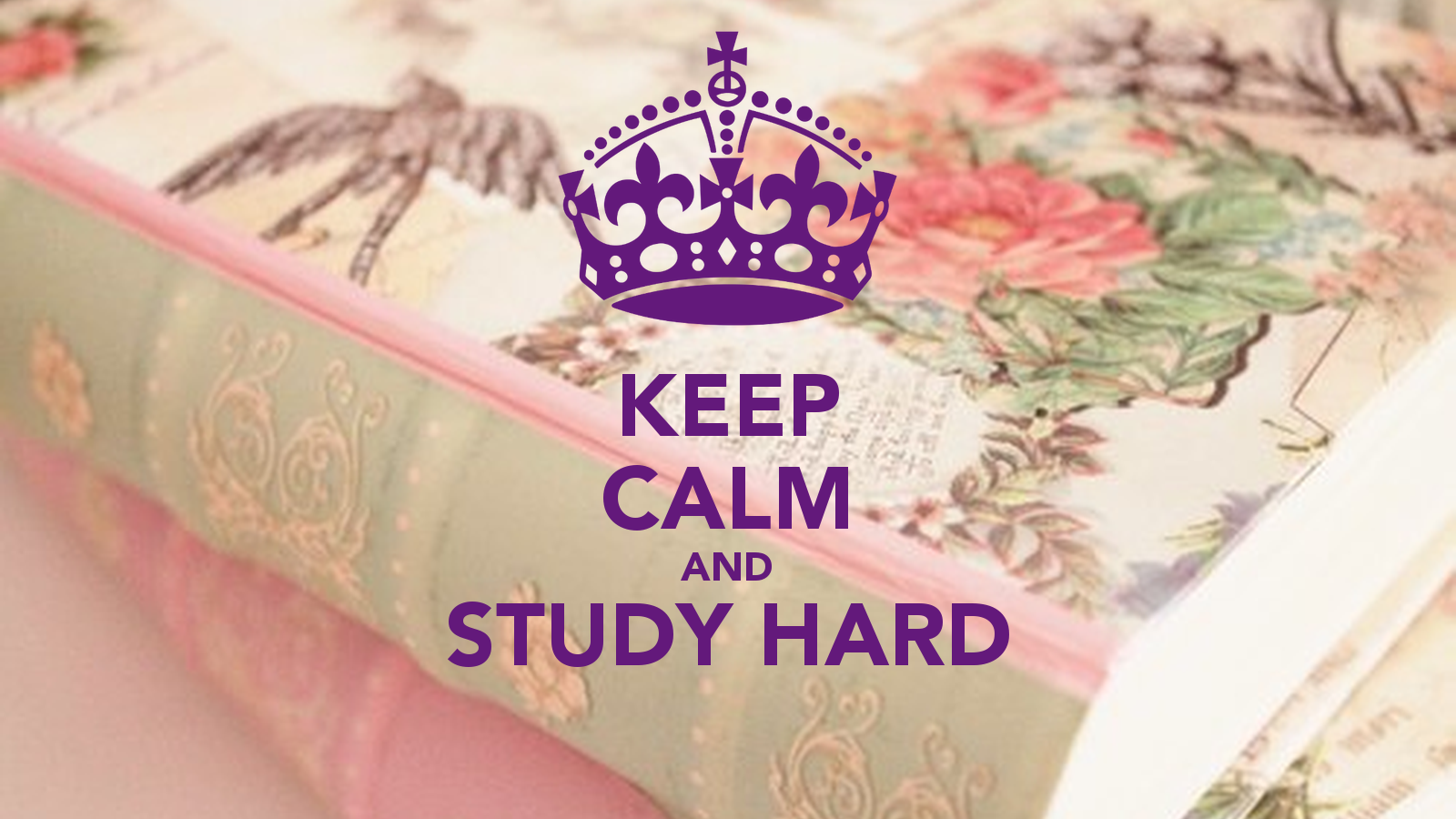 Study Hard Quotes. QuotesGram