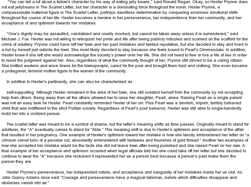 Profiles in courage essay