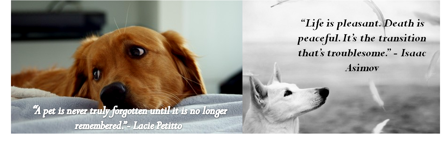 Beautiful Quotes About Losing A Pet. QuotesGram Beautiful Quotes About Losing A Pet. QuotesGram