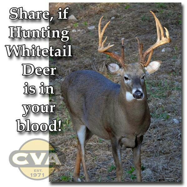 Whitetail Deer Quotes. QuotesGram