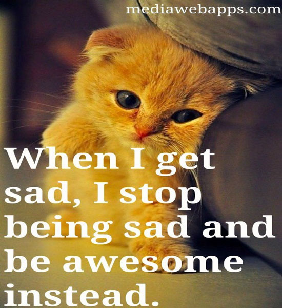 Funny Quotes About Being Sad. QuotesGram