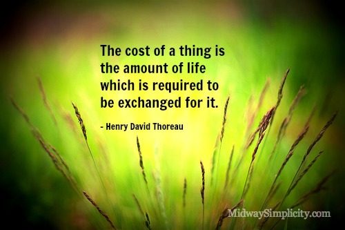 simplicity thoreau essay simplicity thoreau essay
