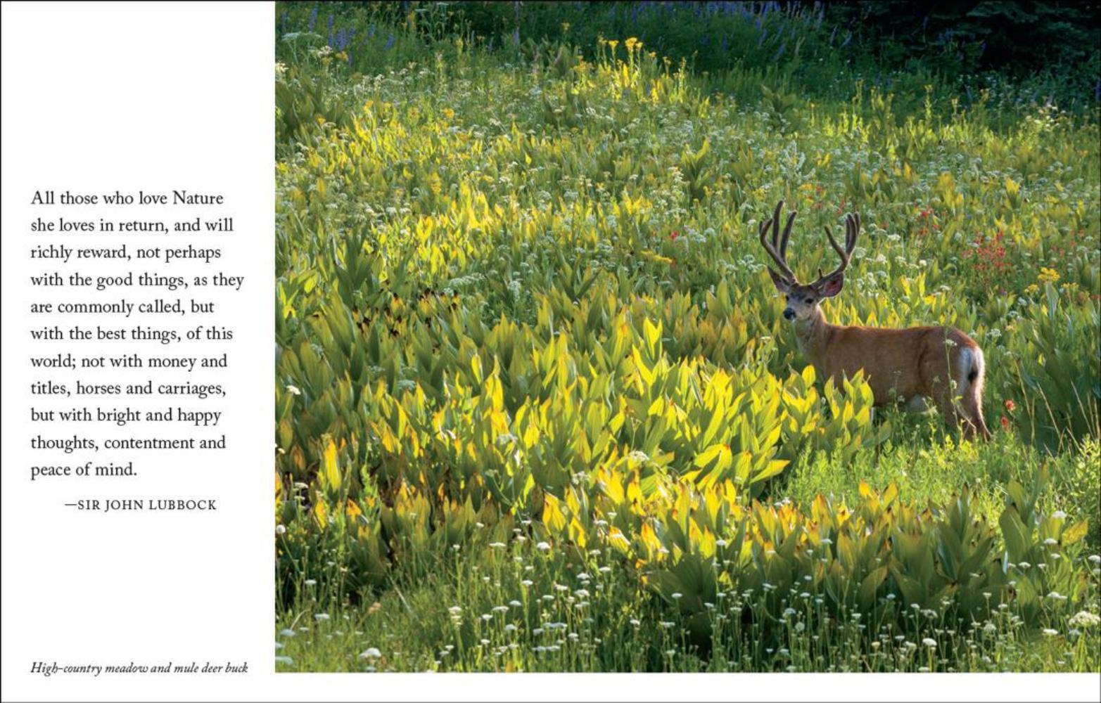Quotes About Yosemite National Park. QuotesGram Quotes About Yosemite National Park. QuotesGram