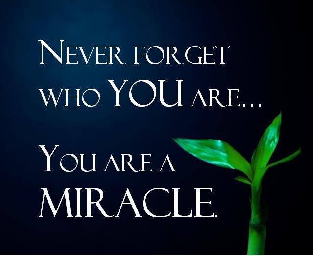 Never Forget Who You Are Quotes. QuotesGram