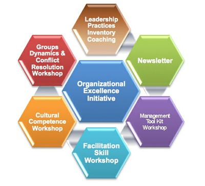 organizational excellence organizational excellence