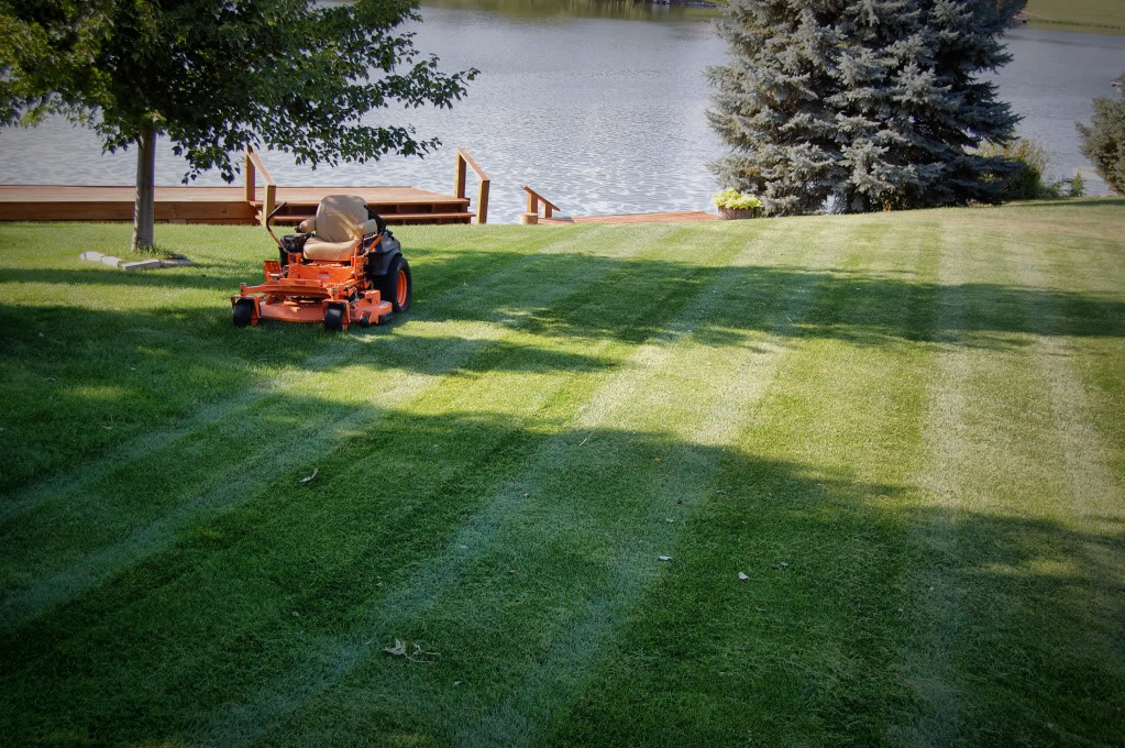Pittsburgh Pa Lawn Care Quotes. QuotesGram Pittsburgh Pa Lawn Care Quotes. QuotesGram