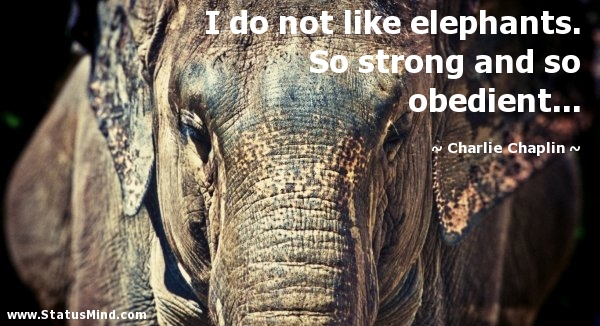 How strong are elephants?