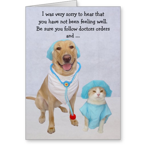 Funny Dog Get Well Cards Funny Dog Get Well Cards