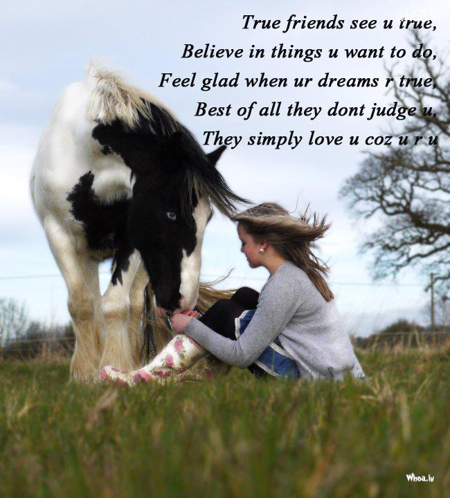 Horse Friendship Quotes. QuotesGram