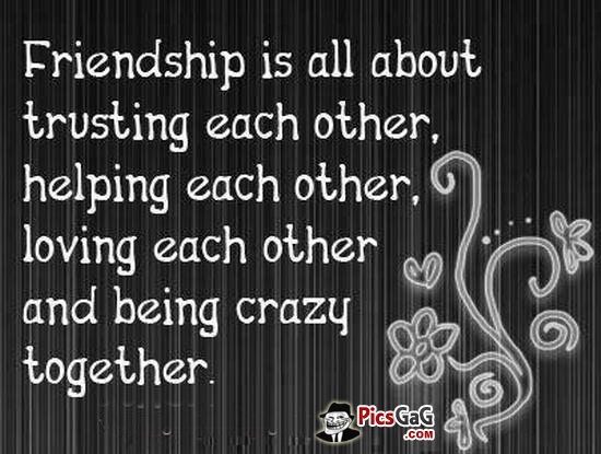 Meaning Of Friendship Quotes. QuotesGram