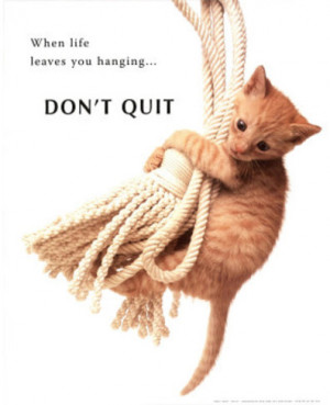575167941-don-t-quit-kitten-on-rope.jpg