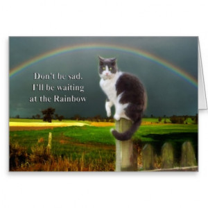 Pet Loss Quotes Cats. QuotesGram Pet Loss Quotes Cats. QuotesGram