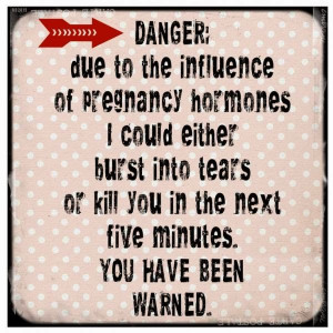 Danger Being Pregnant 17