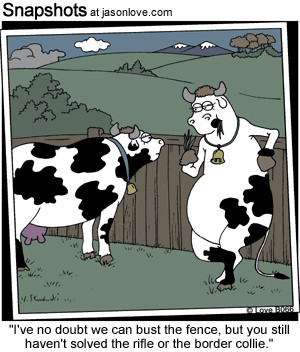 Funny Cattle Quotes. QuotesGram