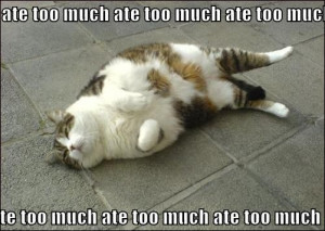 341383268-ate-too-much.jpg