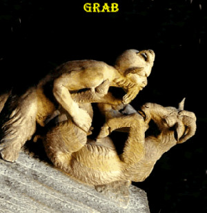 goatee gay strip a shemale game