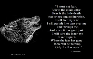 Wolf Motivational Quotes. QuotesGram