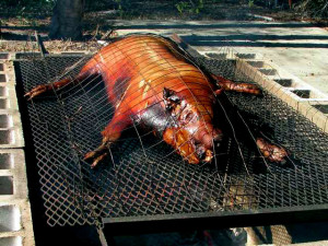 Image Result For Hog Roast Lincoln Image Result For Hog Roast Lincoln
