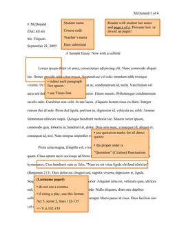 Mla Format Essay