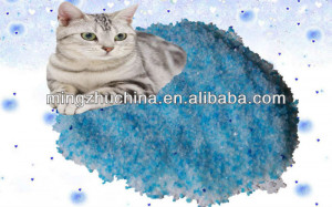 Dogs Who Eat Crystal Cat Litter Dogs Who Eat Crystal Cat Litter