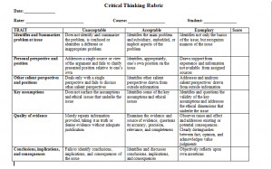 Critical thinking essay