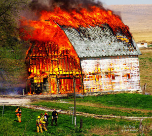 Barn burning theme essay