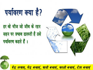 Essay on Environment Pollution