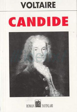 religious satire in voltaires candide essay religious satire in voltaires candide essay