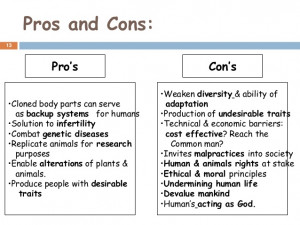 Embryonic stem cell research pro and cons essay