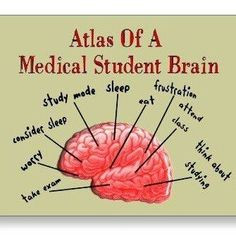 For Med Students Funny Quotes. QuotesGram