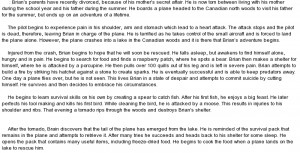 summary of hatchet essay summary of hatchet essay