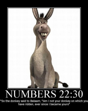 blog unique everybody else religion natural enemies blog unique everybody else religion natural enemies