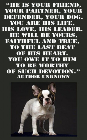 quotes about dogs dying quotes quotesgram quotes about dogs dying quotes quotesgram