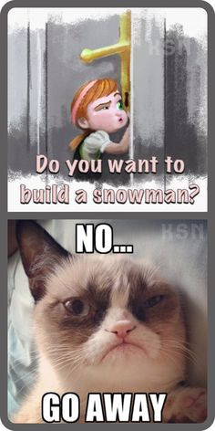 Frozen Grumpy Cat Quotes. QuotesGram