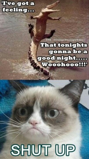 grumpy cat quotes from frozen quotesgram grumpy cat quotes christmas