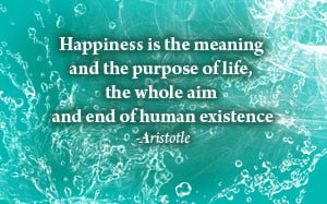 Aristotle happiness and the human good
