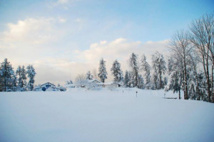 Extreme Cold Quotes. QuotesGram