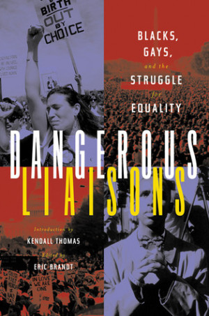 Gay America Struggle For Equality 52